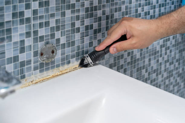 Best Black Mold Removal  in St Francis, MN