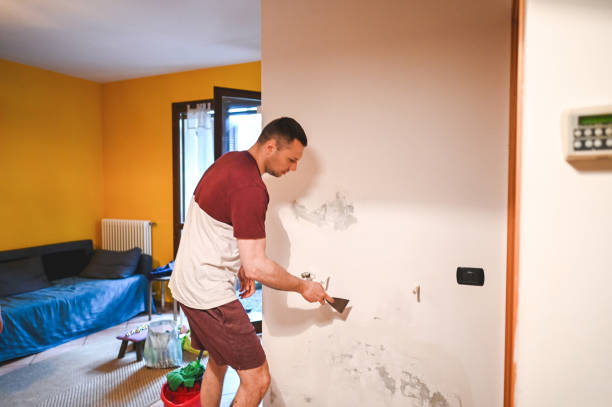 Best Local Mold Removal Service  in St Francis, MN